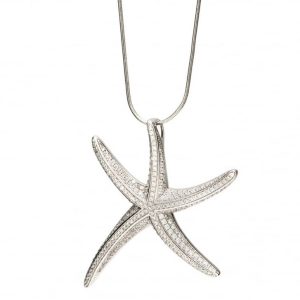 2718collar Estrella Plataprimeraley925.jpeg